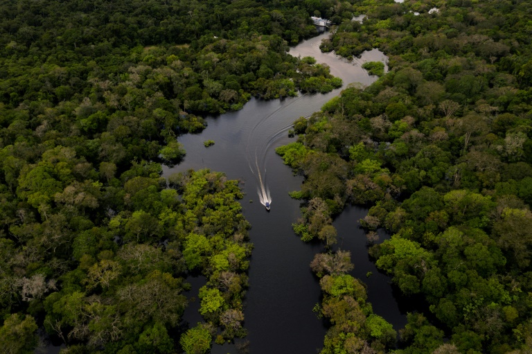 Reserva de Desenvolvimento Sustentável Uacari, Amazonia, Manaus